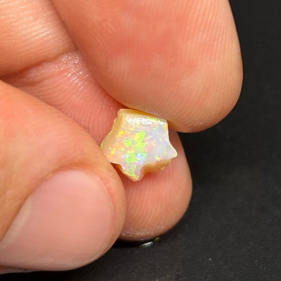 Smaller Top Grade Brazilian Horca Cutters & Chips for Jewelry/Inlays/Mosaics - Picture 12 of 14
